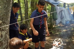 Scout FSE Brolo